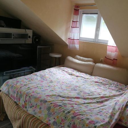 Wohlfuehloase - Zimmer, Appartment - Im Herzen Starnbergs Pokój zdjęcie