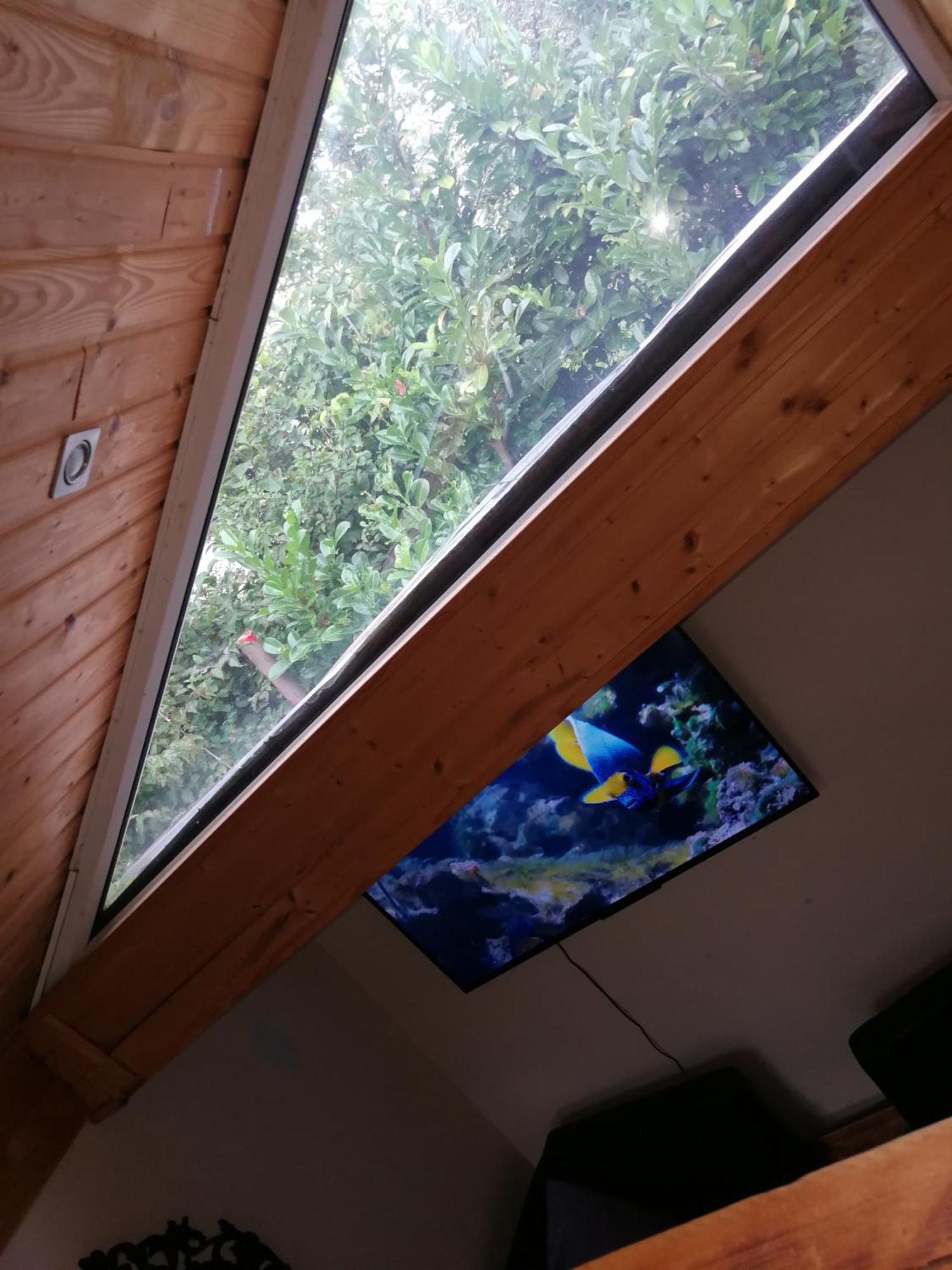 Wohlfuehloase - Zimmer, Appartment - Im Herzen Starnbergs Pokój zdjęcie